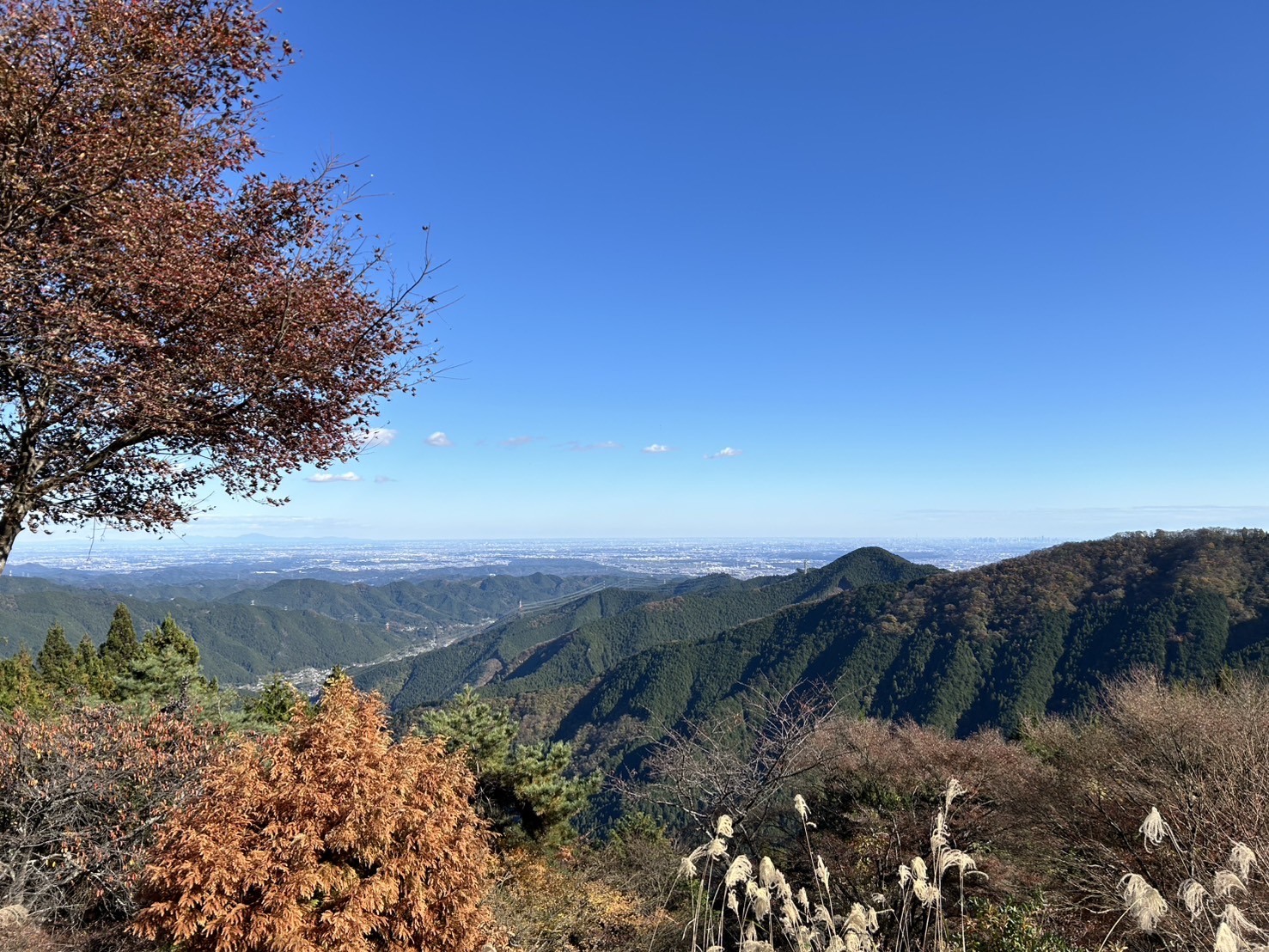 御岳山で迎える朝の風景