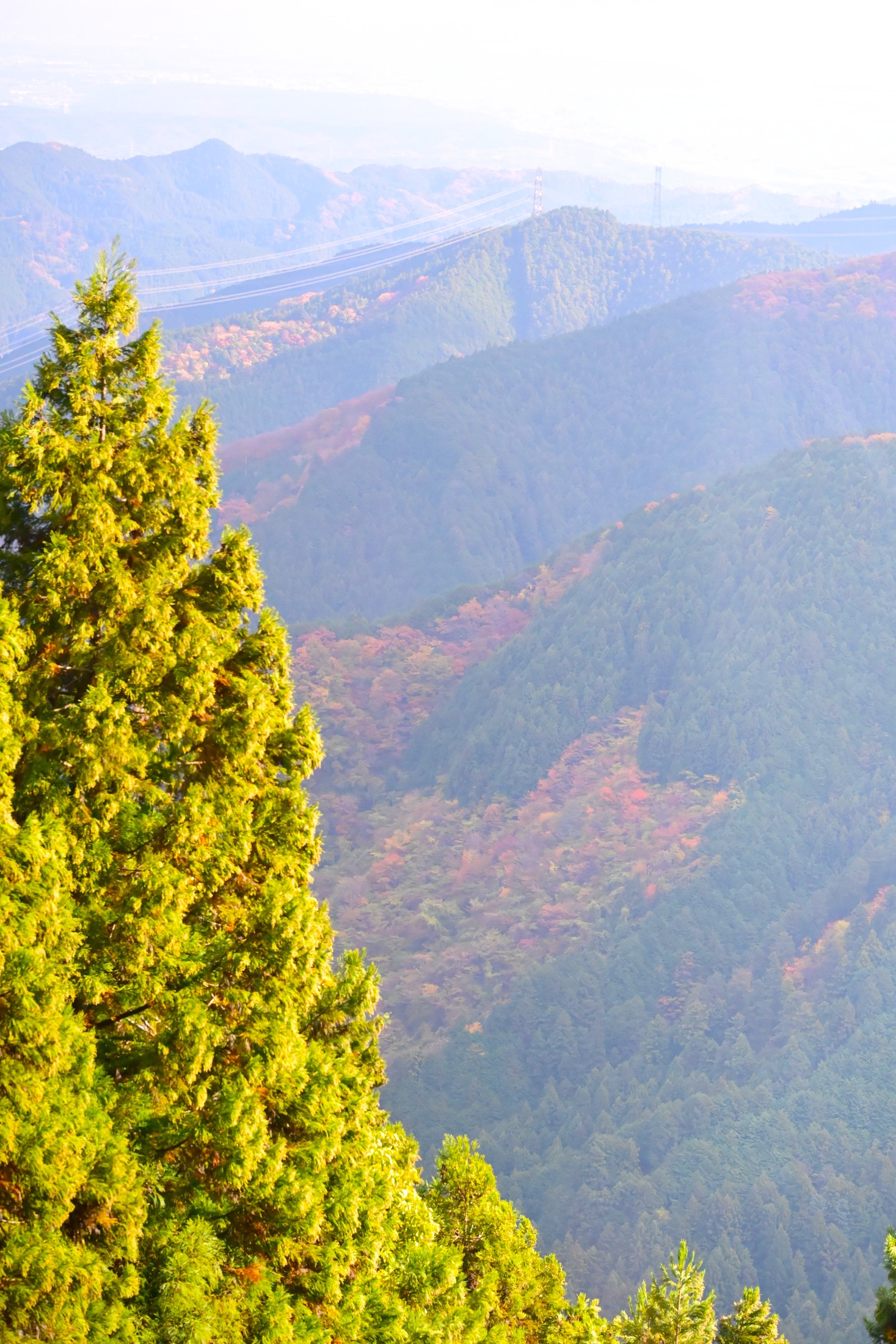 御岳山から見渡す山々と広い空
